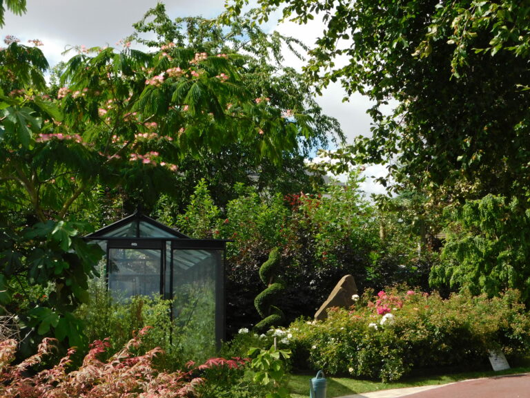 jardin plantations fleurs serre