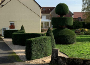 Taille arbustes jardinier marne