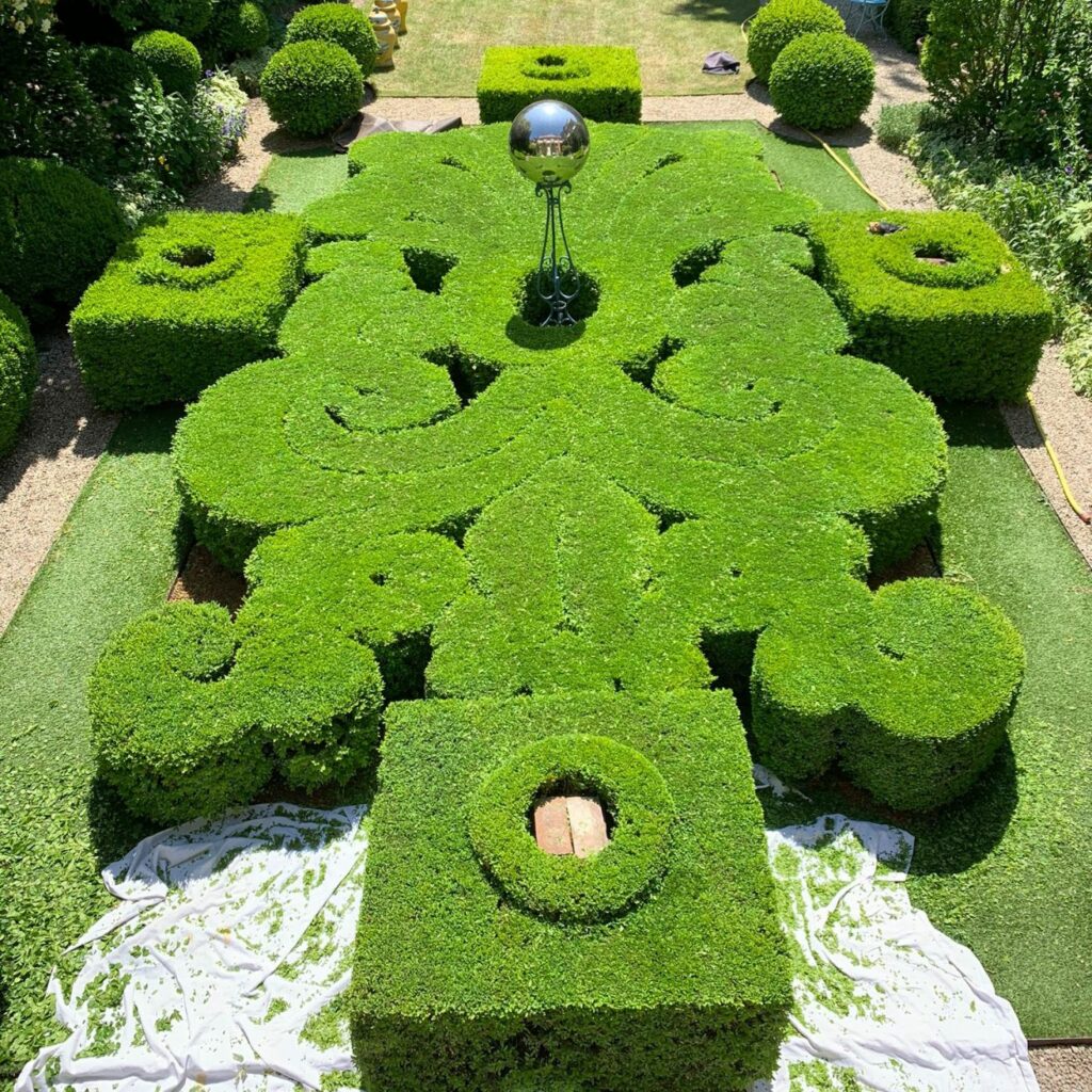 jardin topiaire création jardinier paysagiste