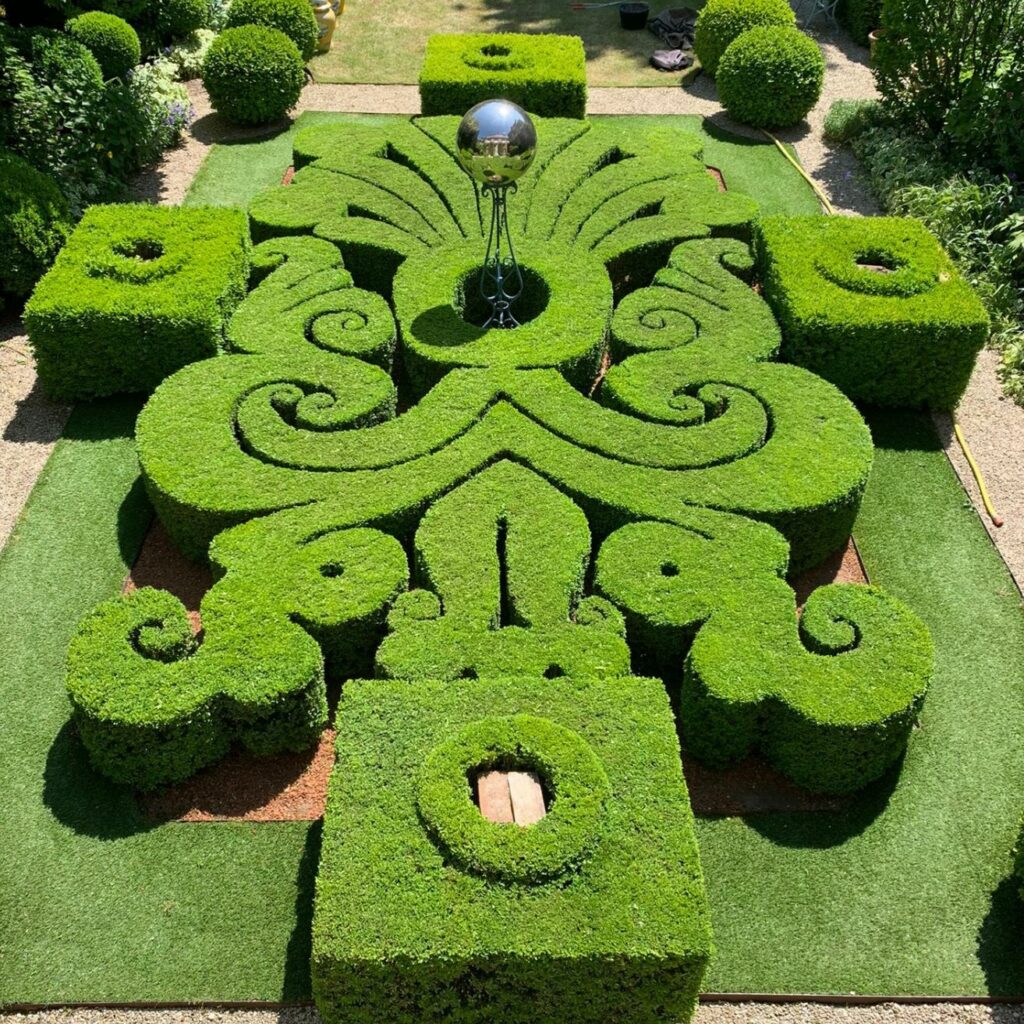 jardin topiaire création jardinier paysagiste