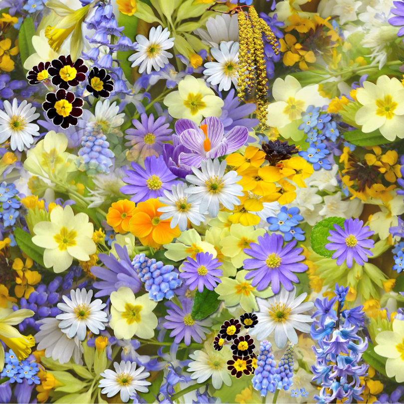 Fleurs de printemps