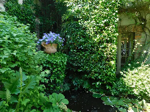 entretien végétaux jardin crédit d'impot