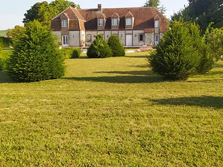 tonte pelouse