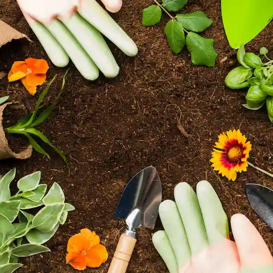 terre, plantes et outils de jardinage